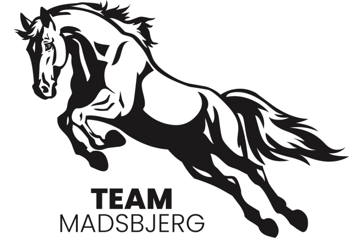 Team Madsbjerg logo